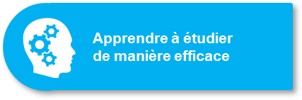 Apprendre à étudier de manière efficace